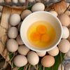 Trứng Gà Đen VITOT Cực Kỳ Bổ Dưỡng Hàng Sạch Tiêu Chuẩn VietGap