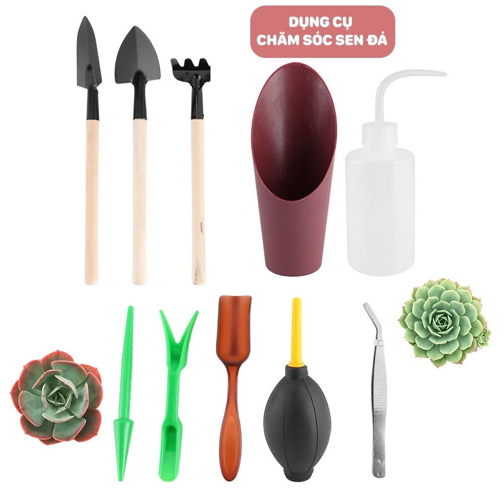 Bộ dụng cụ trồng sen đá 10 món