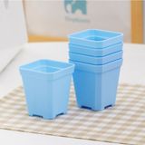  Chậu nhựa siêu dầy trồng sen đá 7x7cm - Tặng kèm đĩa lót 