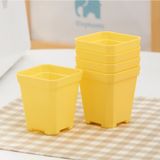  Chậu nhựa siêu dầy trồng sen đá 7x7cm - Tặng kèm đĩa lót 