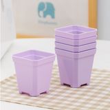  Chậu nhựa siêu dầy trồng sen đá 7x7cm - Tặng kèm đĩa lót 