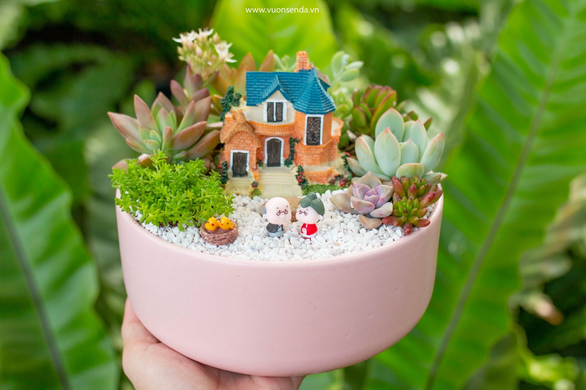Tiểu cảnh chậu trụ thấp hồng 19cm