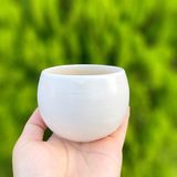  Chậu sứ hạt dẻ 8x7cm - Trơn 