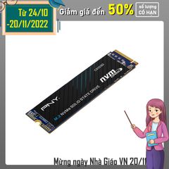 SSD PNY CS1031 256GB M.2 2280 NVMe Gen3x4