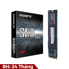 SSD GIGABYTE NVMe 256GB (GP-GSM2NE3256GNTD)