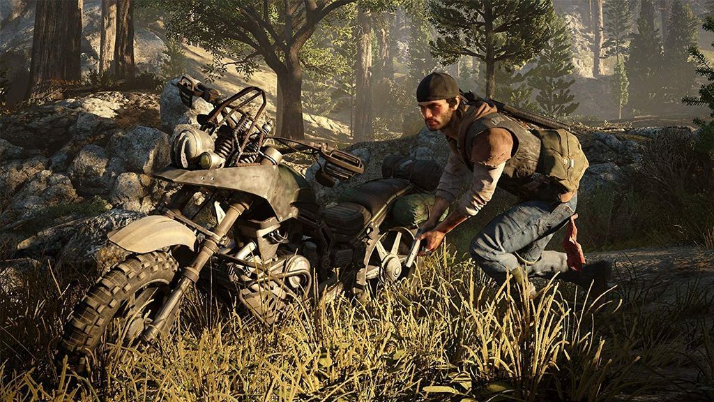 719 - Days Gone Collector's Edition