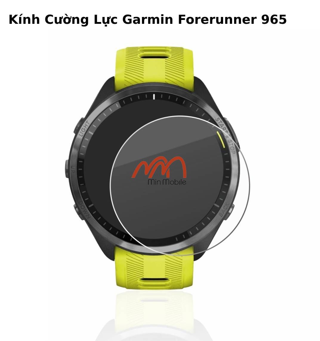 Kính Cường Lực Garmin Forerunner 965