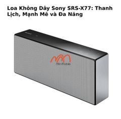 Loa Không Dây Sony SRS-X77