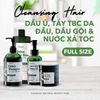 COMBO 4 BƯỚC DETOX DÀNH CHO TÓC