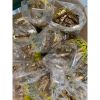 Chốt bi cửa màu vàng thau Vinahardware, hàng thường, kích thước 40mm, 50mm, 60mm