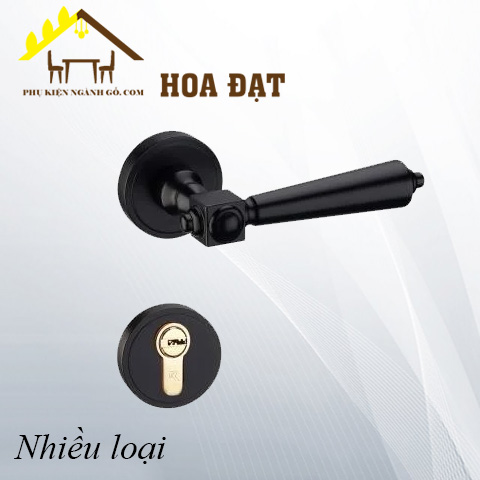 Khóa phân thể Vickini 34117.102. OBP đen mờ, ruột 2 đầu VNH34117