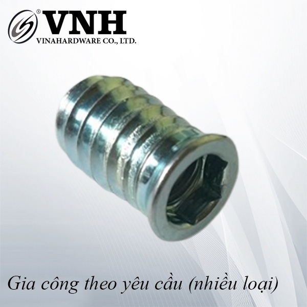 Sò có tai màu trắng - Sò cấy VNH