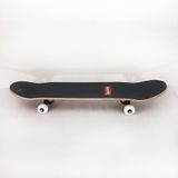 Ván Trượt Skateboard Lion VTS04