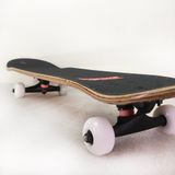 Ván Trượt Skateboard Lion VTS04