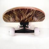 Ván Trượt Skateboard Lion VTS04