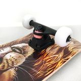 Ván Trượt Skateboard Lion VTS04