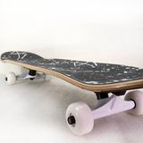 Ván Trượt Skateboard Geele VTSP03