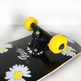 Ván Trượt Skateboard Geele VTSS20