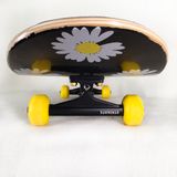 Ván Trượt Skateboard Geele VTSS20