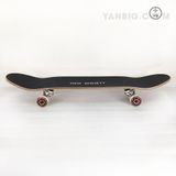 Ván Trượt Skateboard NEW EMMETT VTSN06