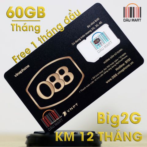  SIM 4G Vinaphone Big2G Tặng 60GB/Tháng Free Tháng Đầu [Chỉ 50K/Tháng] 