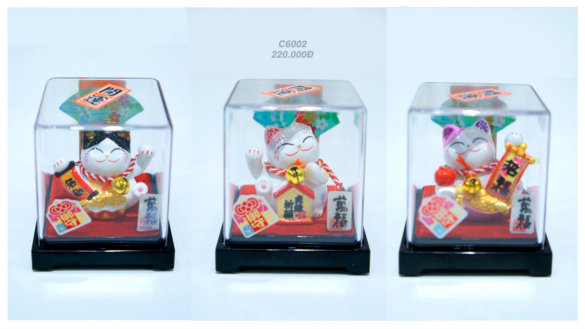 Mèo Mini hộp mika