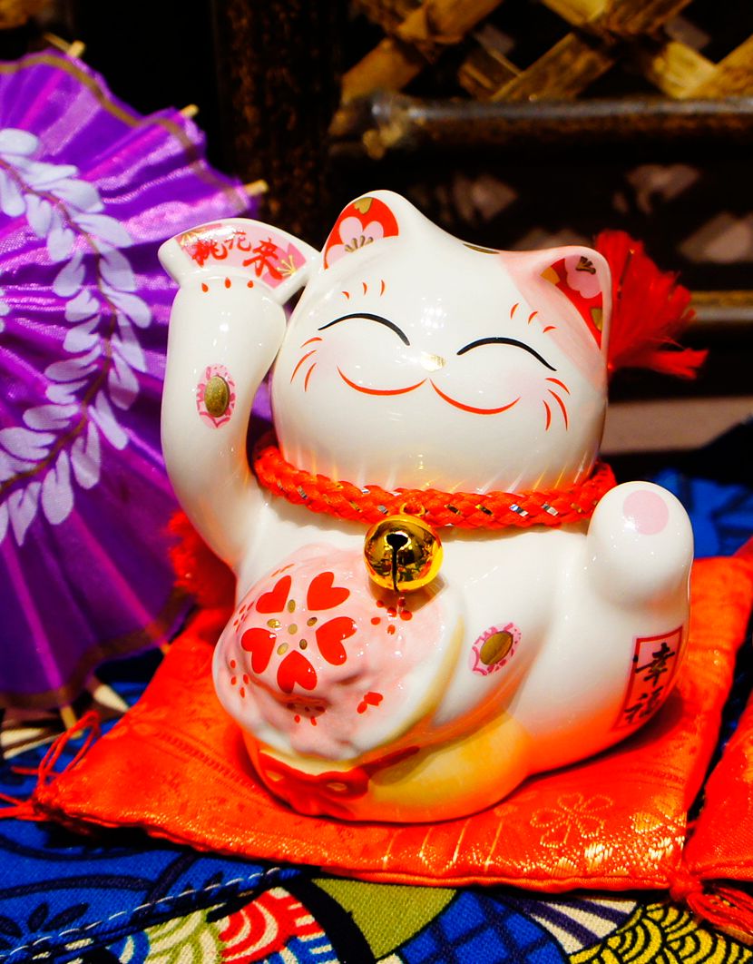 Mèo nhí hũ tiền hồng