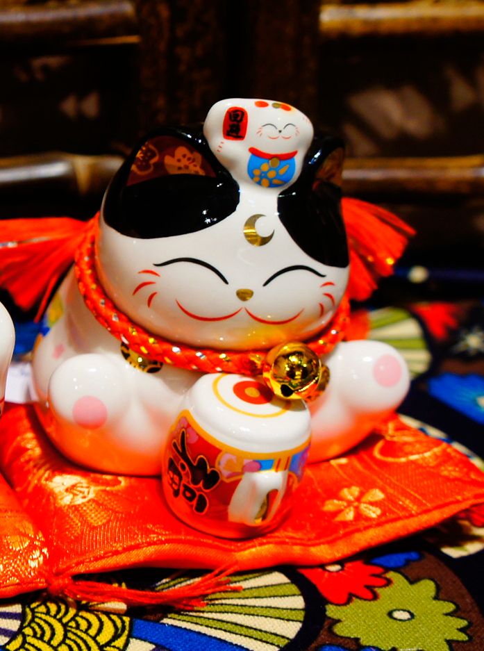 Mèo mini ngồi ôm trống