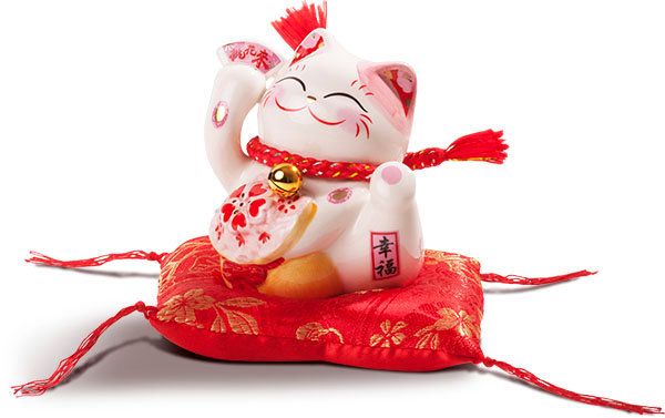 Mèo nhí hũ tiền hồng