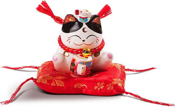 Mèo mini ngồi ôm trống
