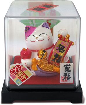 Mèo Mini hộp mika
