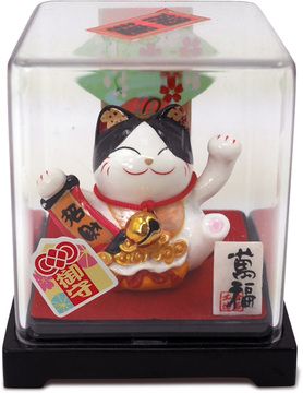 Mèo Mini hộp mika