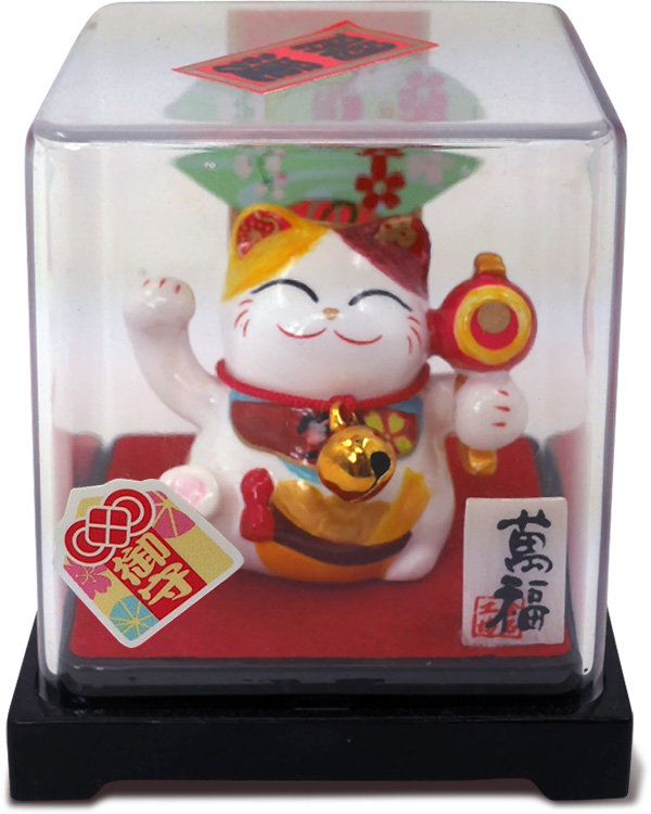 Mèo Mini hộp mika