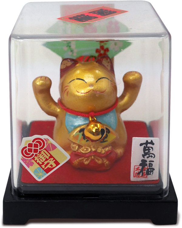 Mèo Mini hộp mika