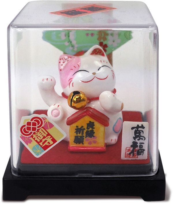 Mèo Mini hộp mika