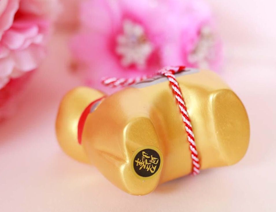 chú chó mini Nhật Bản 2018
