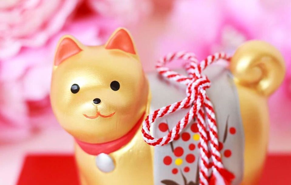 chú chó mini Nhật Bản 2018