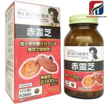 Nấm linh chi đỏ Reishi Noguchi Nhật Bản