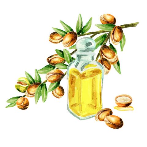 Dầu Argan Organic - Argan Oil