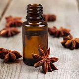 Tinh Dầu Hồi (Đại Hồi)- Anise Star Essential Oil - Hoa Thơm Cỏ Lạ