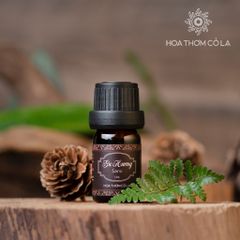 Tinh Dầu Gỗ Gù Hương - Sarsi Essential Oil