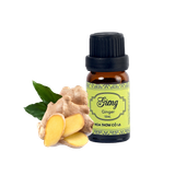 Tinh Dầu Gừng - Ginger Essential Oil - Hoa Thơm Cỏ Lạ