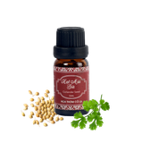 Tinh Dầu Hạt Mùi Già - Coriander Seed Essential Oil - Hoa Thơm Cỏ Lạ