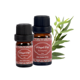 Tinh Dầu Khuynh Diệp - Eucalyptus Essential Oil Hoa Thơm Cỏ Lạ