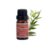 Tinh Dầu Khuynh Diệp - Eucalyptus Essential Oil Hoa Thơm Cỏ Lạ