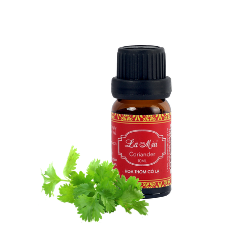 Tinh Dầu Mùi Già (Lá Mùi) - Coriander Essential Oil