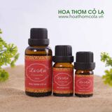 tinh dầu mùi già hoa thơm cỏ lạ