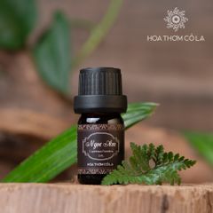 Tinh Dầu Ngọc Am - Cupressus Funebris Essential Oil