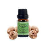 Tinh Dầu Nhục Đậu Khấu - Nutmeg Essential Oil - Hoa Thơm Cỏ Lạ