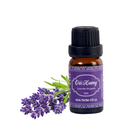 Tinh Dầu Oải Hương Bulgaria - Lavender Bulgaria Essential Oil